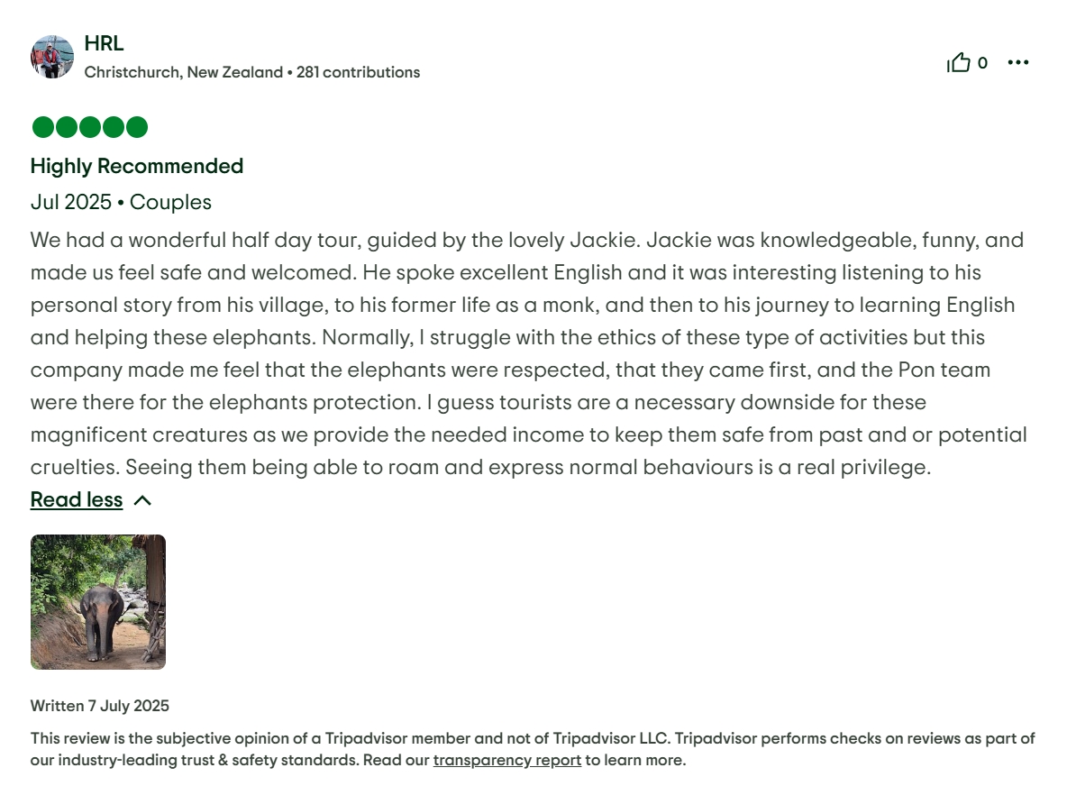 pon elephpant chiangmai thailand reviews